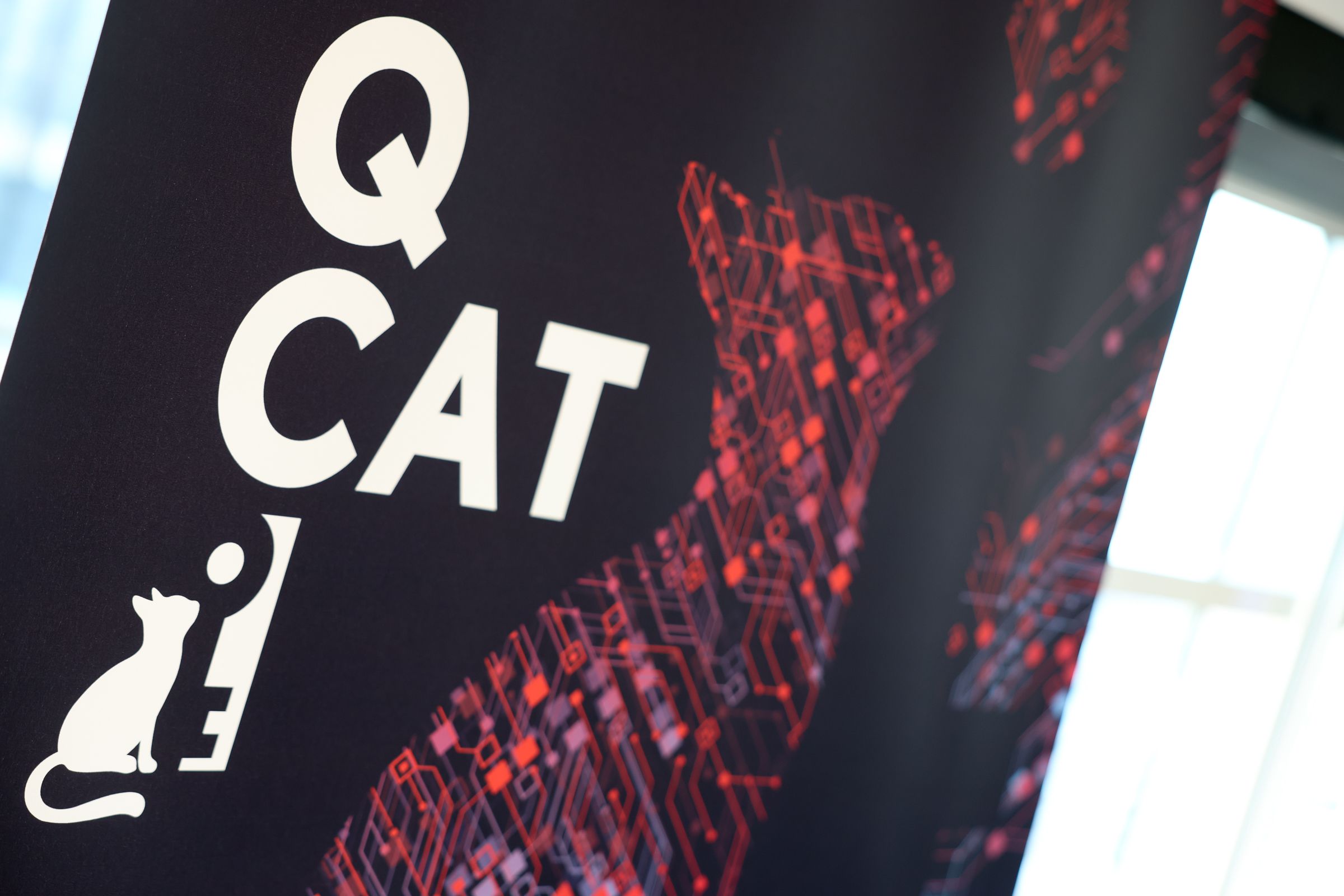 QCI-CAT Logo